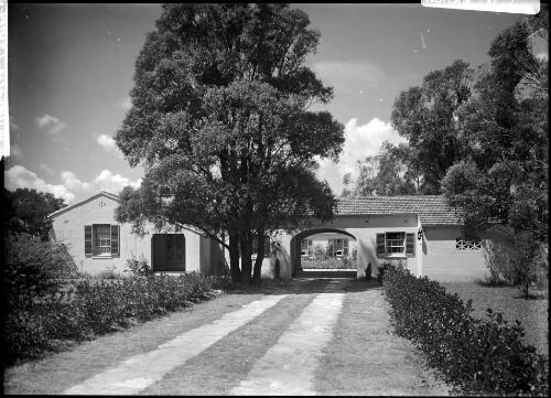 Shadowood, Bowral, N.S.W.; home of A.R. McGregor; Leslie Wilkinson architect; driveway and home among trees [picture] / Harold Cazneaux