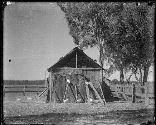 Hay stacked barn under trees, with fowls [picture] / Harold Cazneaux