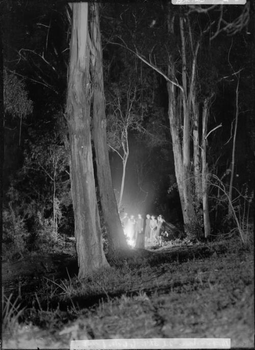 Bonfire, The Holt, Frensham School, Mittagong, New South Wales [picture] / H. Cazneaux