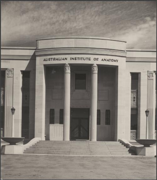 Australian Institute of Anatomy, Canberra, approximately 1935 / Harold Cazneaux