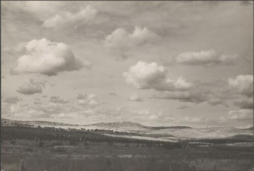 The plains of Canberra showing the Federal forest reserves, 1927 / H. Cazneaux