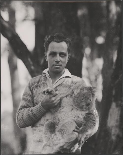 Noel Burnett, manager of the Koala Park Sanctuary, Castle Hill Road, Pennant Hills, New South Wales, 1930 / Harold Cazneaux