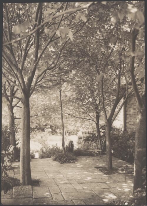 Dr Scougall's garden, Wahroonga, New South Wales / Harold Cazneaux