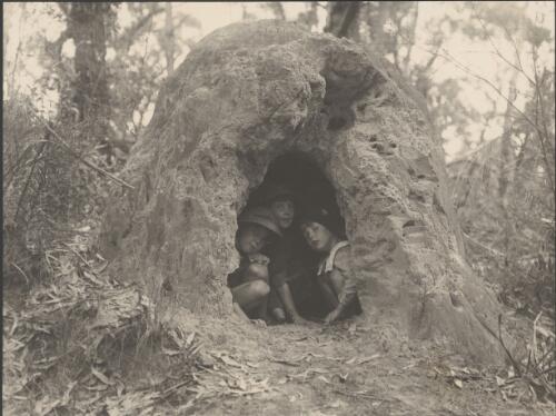 Jean and her sisters in an anthill, Wentworth Falls, New South Wales, May, 1915, 3 / Harold Cazneaux