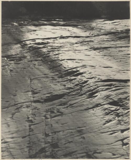 Glaciated pavement, Inman Valley, South Australia, 1937, 2 / Harold Cazneaux