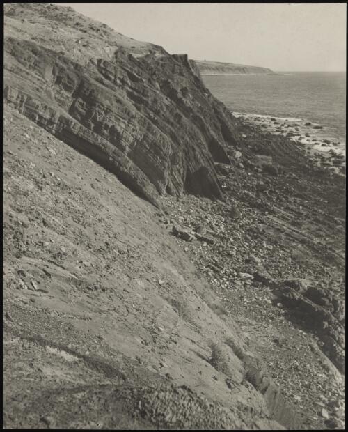 Rock strata at Hallett Cove, South Australia, 1937 / Harold Cazneaux
