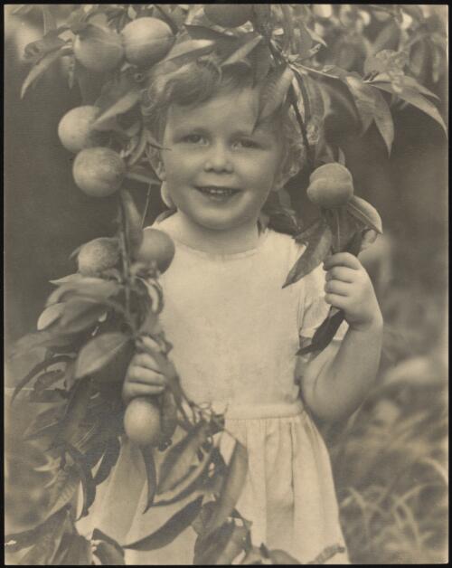 Peaches ripe, Rainbow Cazneaux, approximately 1910 / H. Cazneaux