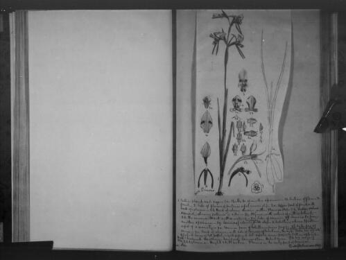 Records held by the Linnean Society of London (as filmed by the AJCP) [microform] : [M596-M597], 1790-1870