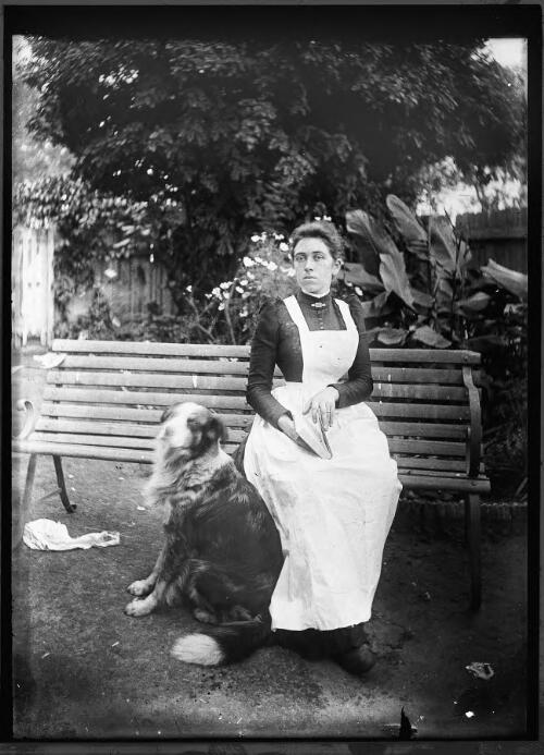 [Woman sitting with a dog] [picture] / [William Henry Corkhill]