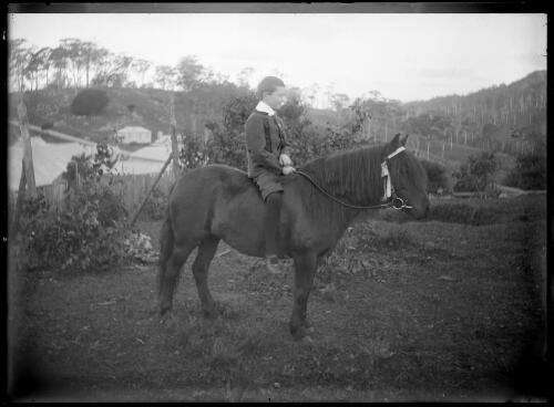 [David Simmons, son of Ernest Simmons, Palace Hotel, Central Tilba, on horseback] [picture] / [William Henry Corkhill]