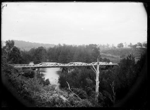 [Brogo Bridge] [picture] / [William Henry Corkhill]