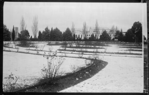 [Snow cover at National Rose Gardens with Parliament House in background, Canberra] [picture] / R.C. Strangman
