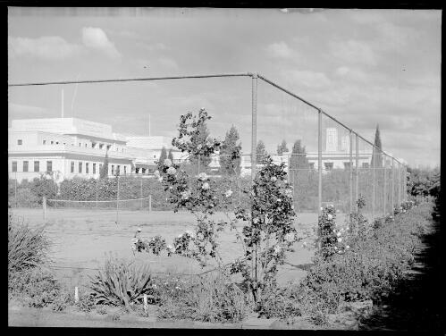 [Senate garden tennis courts with Parliament House in background, Canberra] [picture] / R.C. Strangman