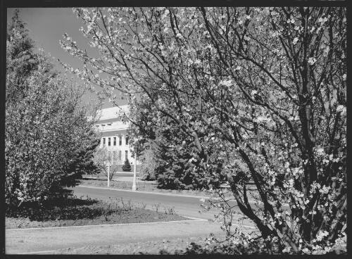 [Parliament House viewed diagonally from edge of Parkes Place and King George Terrace, Canberra, 3] [picture] / R.C. Strangman