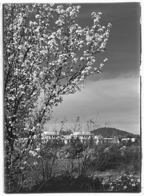 [Parliament House from Parkes Place, Canberra, 4] [picture] / R.C. Strangman