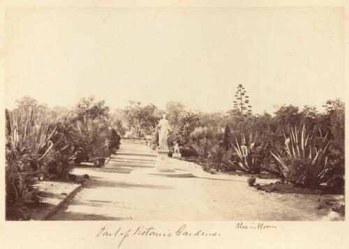 Part of Botanic Gardens, [Adelaide, South Australia, ca. 1866] [picture] / [Townsend Duryea]