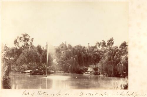 Part of Botanic Garden. Lunatic asylum in the background, [Adelaide, South Australia, ca. 1866] [picture] / [Townsend Duryea]