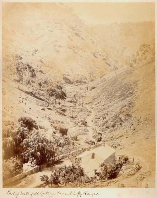 Part of Waterfall Gully, Mount Lofty Ranges [South Australia, ca. 1866] [picture] / [Townsend Duryea]