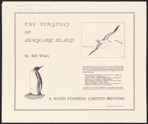The penguins of Macquarie Island [picture] / by Bill White
