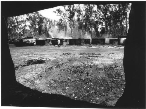 [Charcoal kilns, Murray River region, January 1992] [picture] / Jeff Carter
