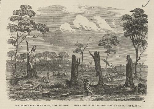 Remarkable remains of trees, near Bendigo, 1862 [picture] / L. Becker ; F. Grosse