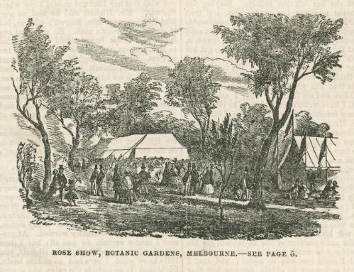 Rose Show, Botanic Gardens, Melbourne, 1862 [picture]
