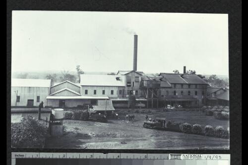 Sugar mills, Queensland [picture]