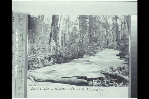 The Watts River at Fernshaw, view at the old crossing, Victoria, ca. 1880, 1 [picture]