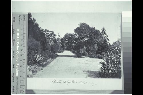 Botanical Gardens, Melbourne, Victoria, ca. 1880 [picture]