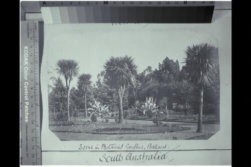 Scene in Botanical Gardens, Ballarat, Victoria, ca. 1880 [picture]