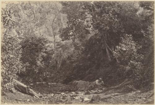 Man lying down amongst rocks in a gully, New South Wales?, 1870s? [picture] / J.W. Lindt