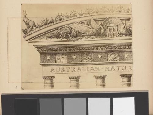 Sketch of pedament with Australian motifs [picture] / Lucien Henry