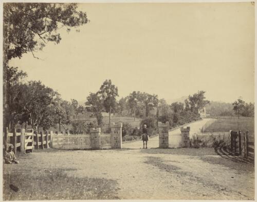 Entrance to Yulgilbar Station, near Grafton, New South Wales [picture] / J.W. Lindt
