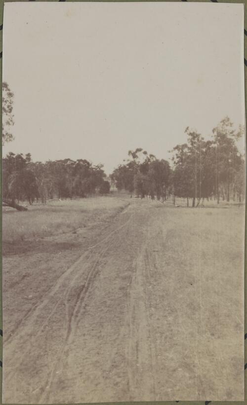 A red country track, Dubbo Region, New South Wales, ca. 1915 [picture] / E.C. Kempe