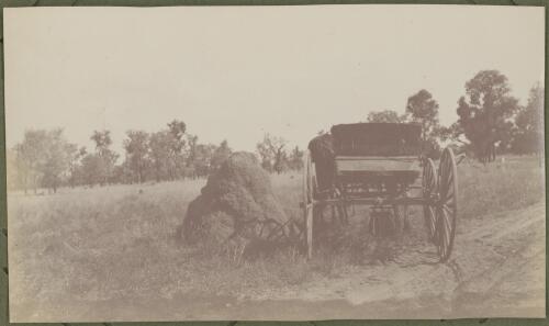 An anthill with a buggy beside it, New South Wales, ca. 1915 [picture] / E.C. Kempe