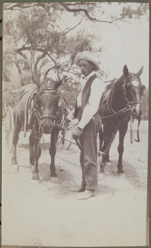 Reverend C.G. Roffe Silvester harnessing up horses after boiling the midday billy on the road, New South Wales, ca. 1915 [picture] / E.C. Kempe