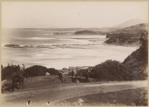 View of jetty from Bulli Road, Clifton, New South Wales, ca. 1880s [picture] / Charles Kerry