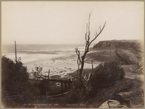 Coastal scene from Bulli Road, Clifton, New South Wales, ca. 1880s [picture] / Charles Kerry