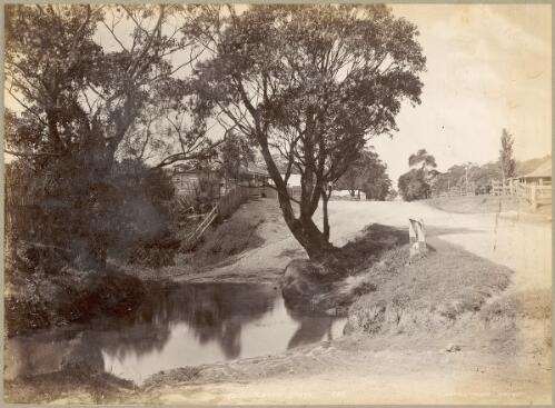 Fairy Meadow Creek, Fairy Meadow, New South Wales, ca. 1880s [picture] / Charles Kerry