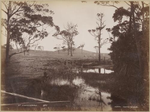 Creek at Unanderra, New South Wales, ca. 1880s [picture] / Charles Kerry