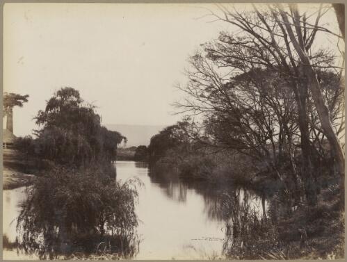 View of Mullet Creek, Dapto, New South Wales, ca. 1880s [picture] / Charles Kerry