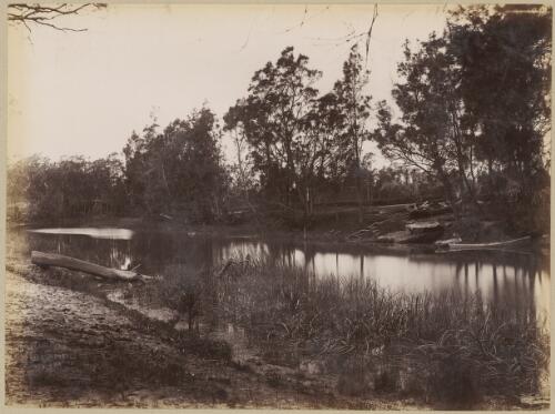 View across Mullet Creek, Dapto, New South Wales, ca. 1880s [picture] / Charles Kerry