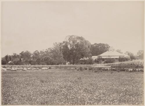 Moorara Station homestead, Darling River, New South Wales, 1886 [picture] / Charles Bayliss