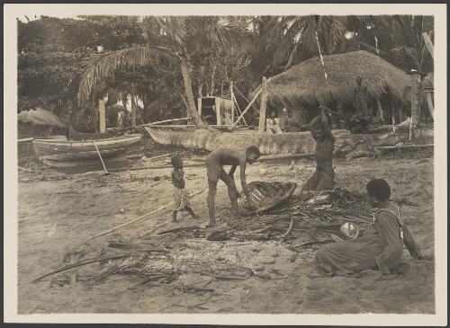 Islanders cutting up turtle, Murray Island, ca. 1925 [picture] / Frank Hurley