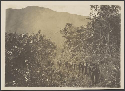 Papua New Guinean bearers walking on a trail, Papua New Guinea, ca. 1922 [picture] / Frank Hurley