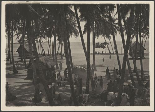Village on Mabuiag Island, Queensland, ca. 1925, 1 [picture] / Frank Hurley