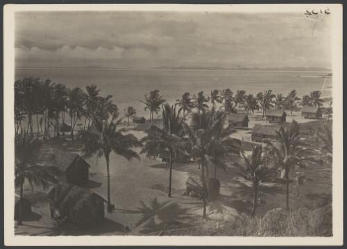 Village on Mabuiag Island, Queensland, ca. 1925, 2 [picture] / Frank Hurley
