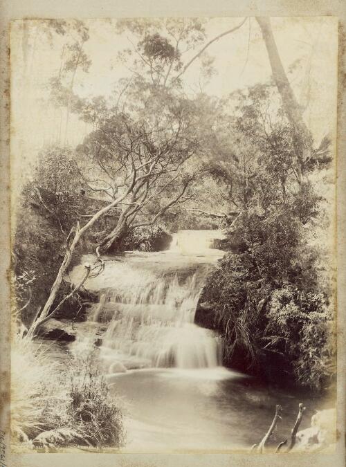 Meeting of waters, Katoomba [picture] / Henry King