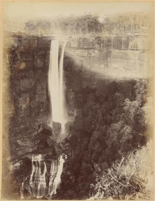 Fitzroy Falls, New South Wales [picture] / C. Bayliss