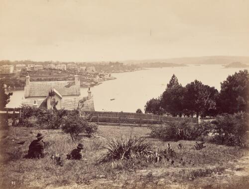 Photographic illustrations of New South Wales 1878 [picture] / Brodie, Sydney